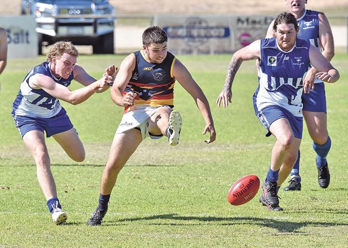 Crows crush Roos post image