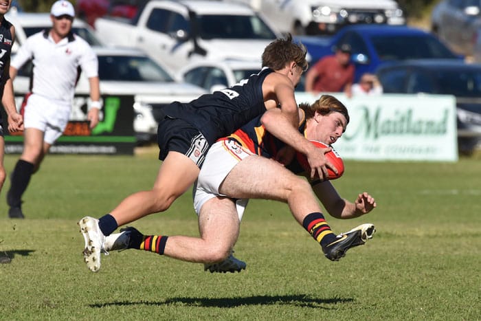YPFL: Crows soar over Cougars post image