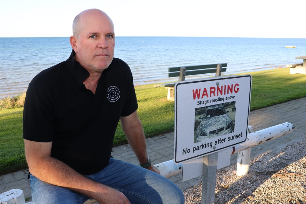 Councils adopt strategy to tackle shag problems post image