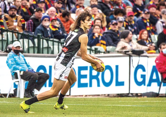 AFL season preview post image