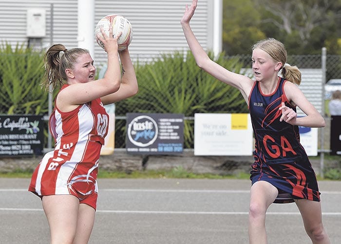 Yorke Peninsula netball scores and reports post image