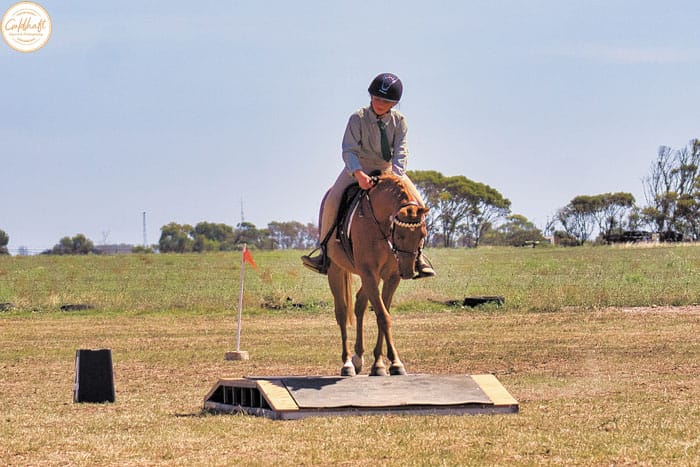 Kadina hosts state pony club gymkhana post image