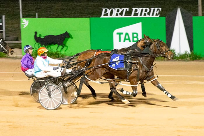 YP Harness Racing Club news post image