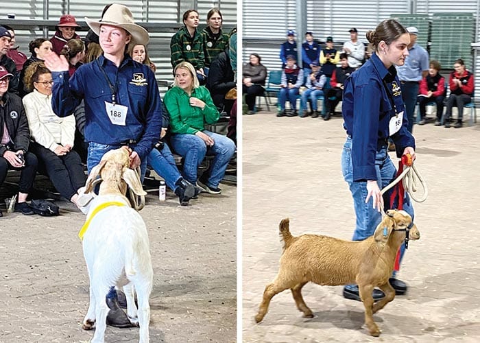 Students on show at Royal Adelaide Show post image