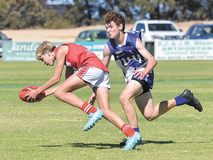 YPFL: Roosters victorious post image