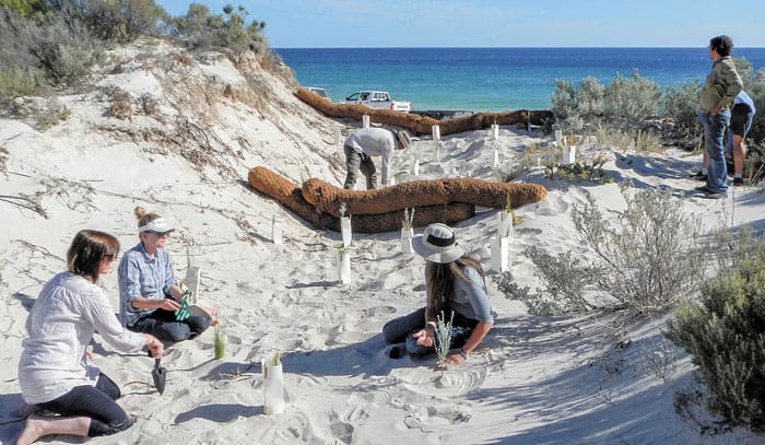 Boost for Yorke landscape projects post image