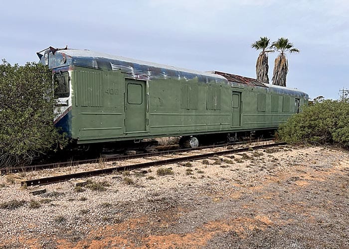 Red Hen coming back to roost post image