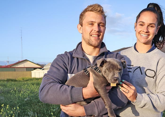 Market struggles to keep up with soaring demand post image