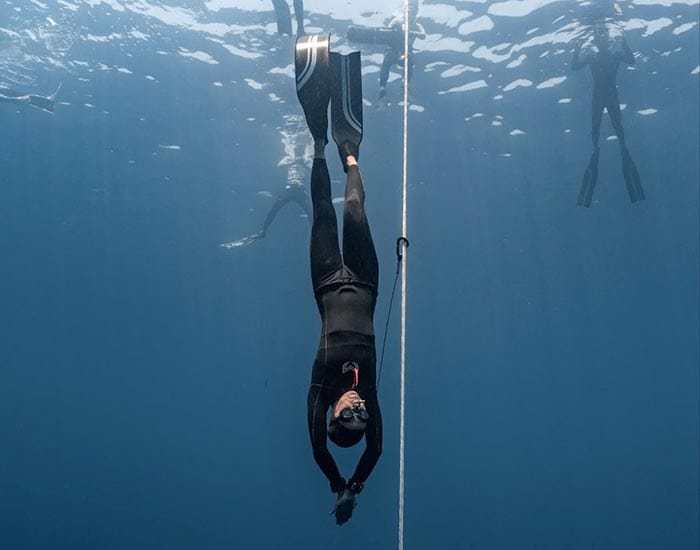 Tara dives into record books post image