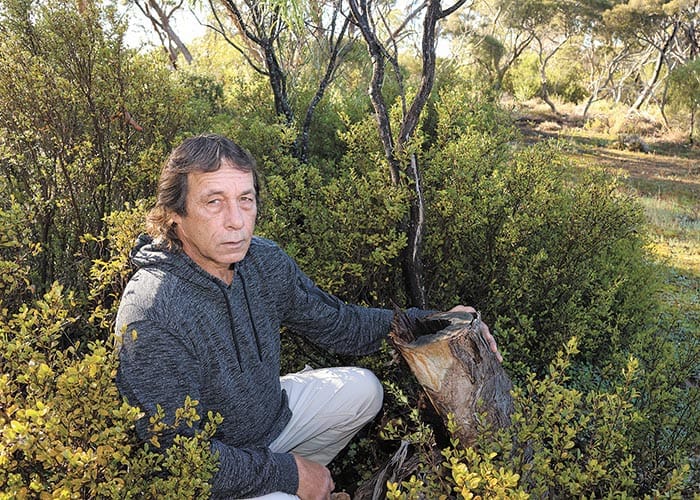 Felling sparks fury post image