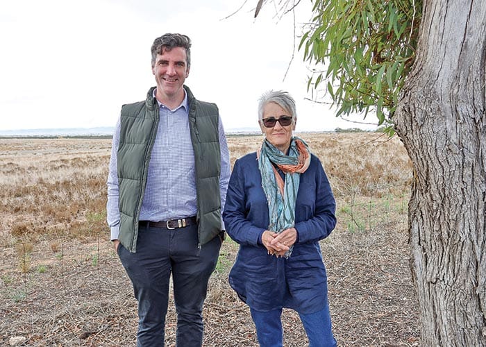 IN THE ZONE post image