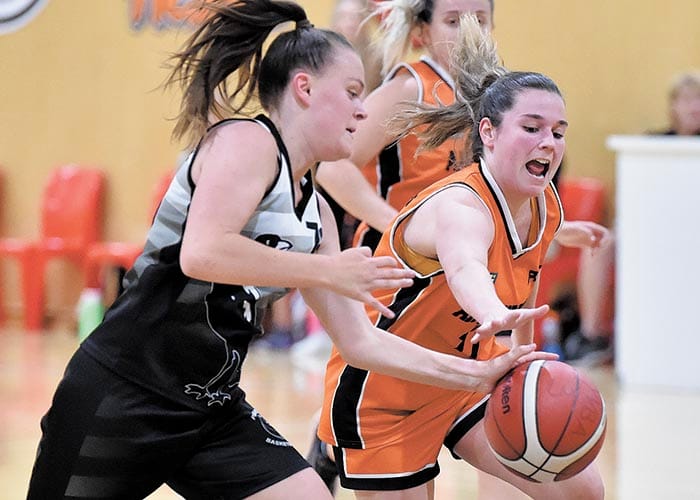 Yorke Valley basketball post image