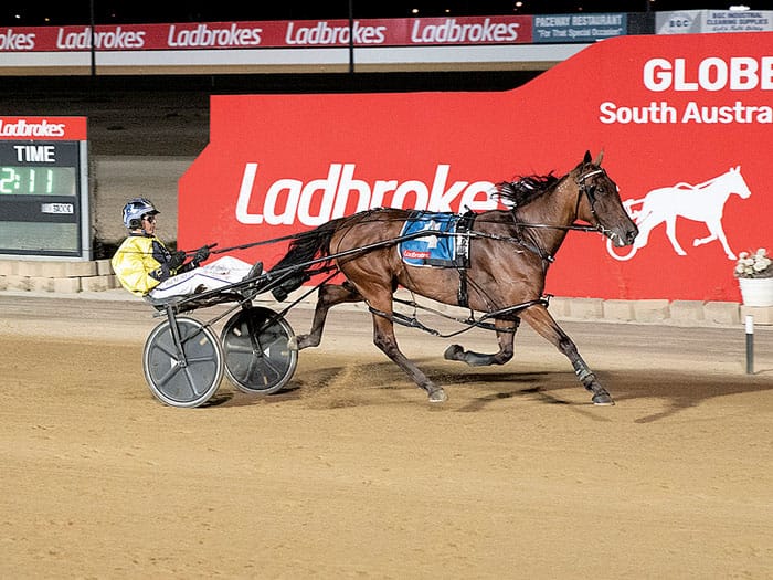 YP harness racing post image