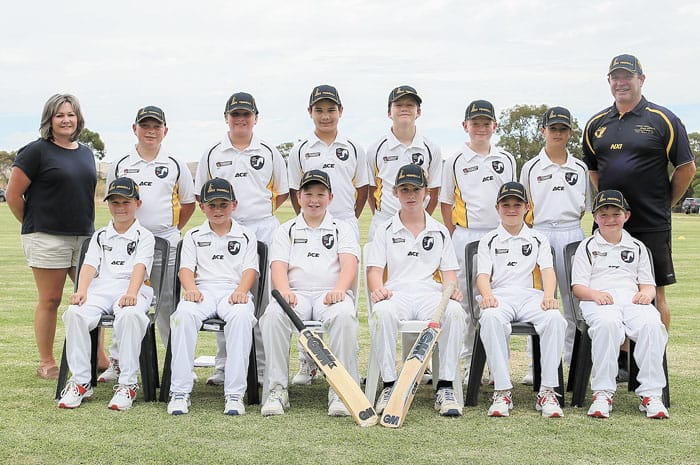 Cricket: Learning experience for under 12s post image