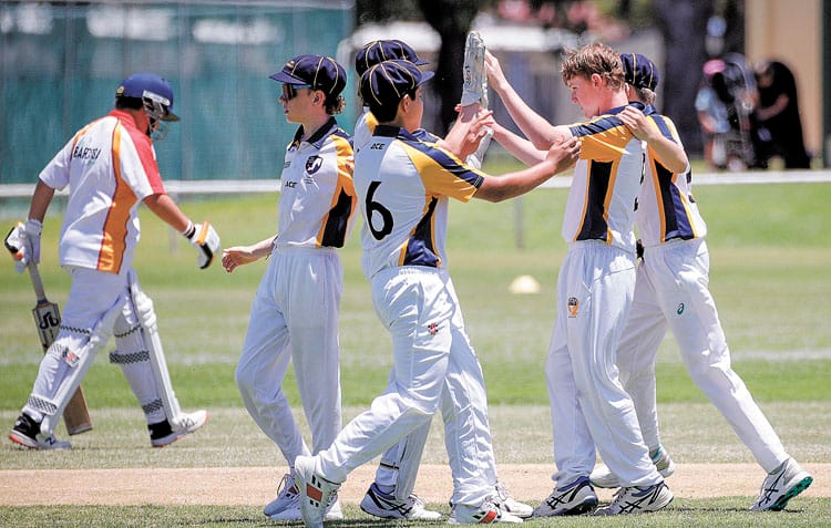 Country Carnival cricket teams selected post image