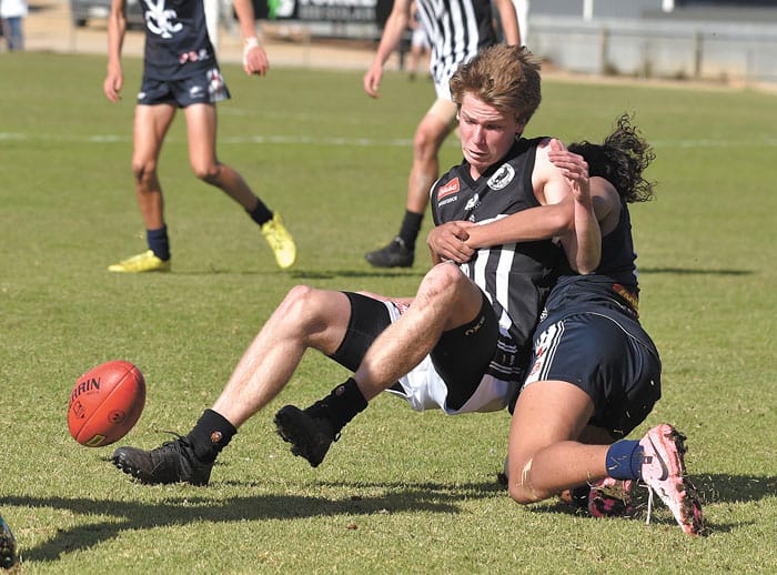 YPFL: Cougars in a canter post image