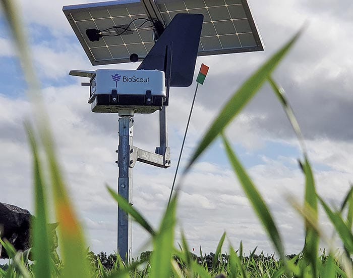 Scouts on alert for crop diseases post image