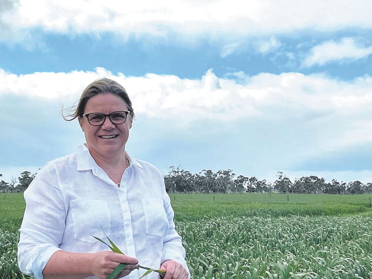 Understanding risk management on the farm post image