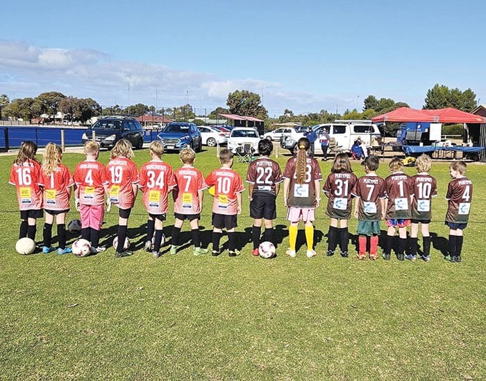 YP Soccer Association post image