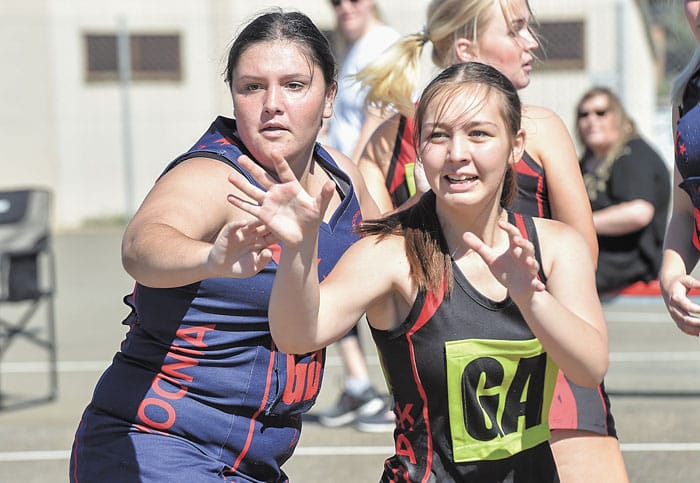 YPNA scores and reports post image