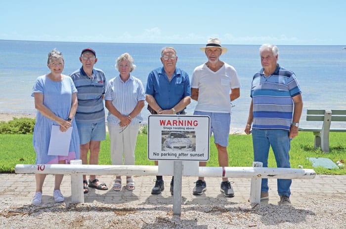 Call for shag solution post image