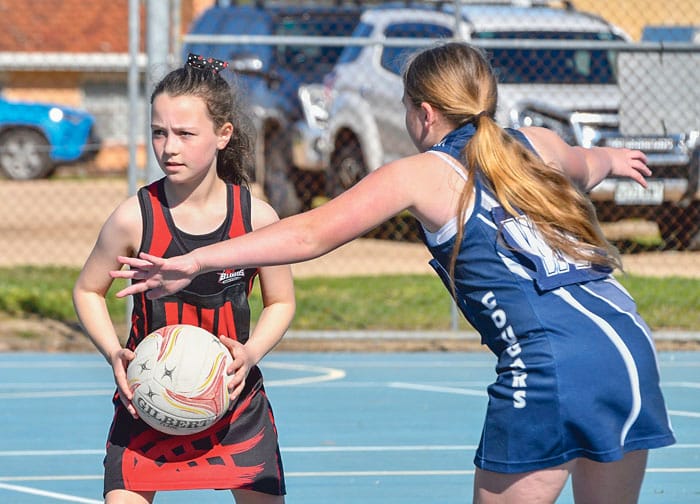 Netball: Yorke Peninsula scores and reports post image