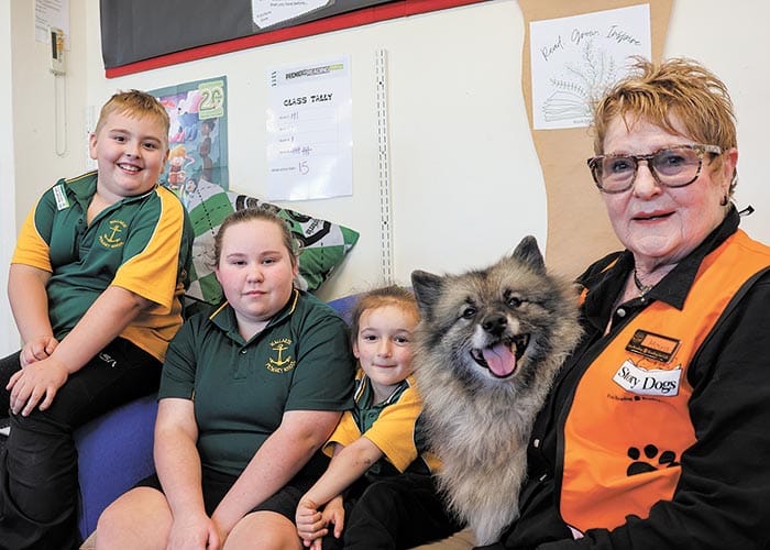 Pink helping a new generation of readers post image