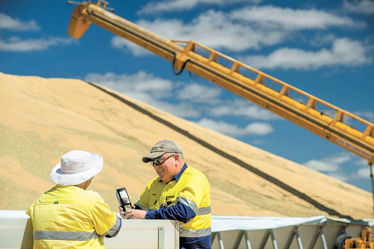 Viterra operational jobs on offer post image