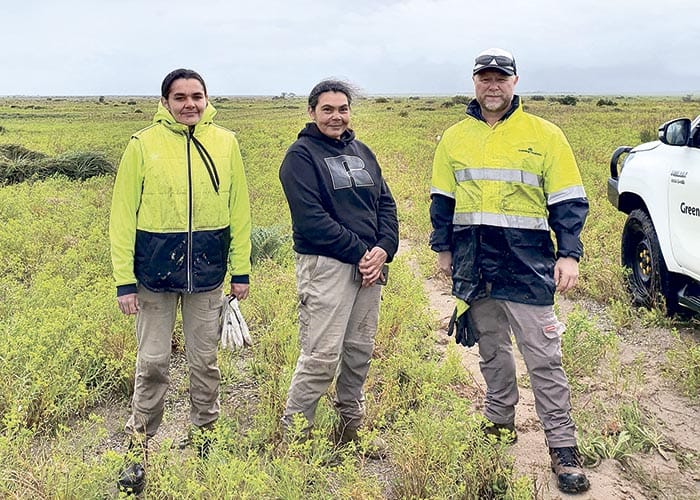 Revegetating Yorke Peninsula’s coast post image
