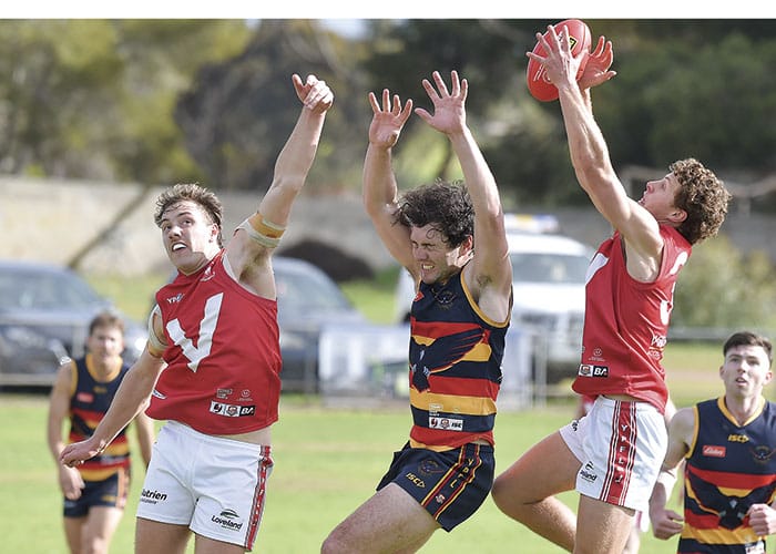 YPFL: Champion Crows outlast Roosters post image