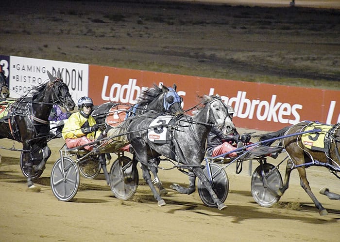 Double double for Linkes post image