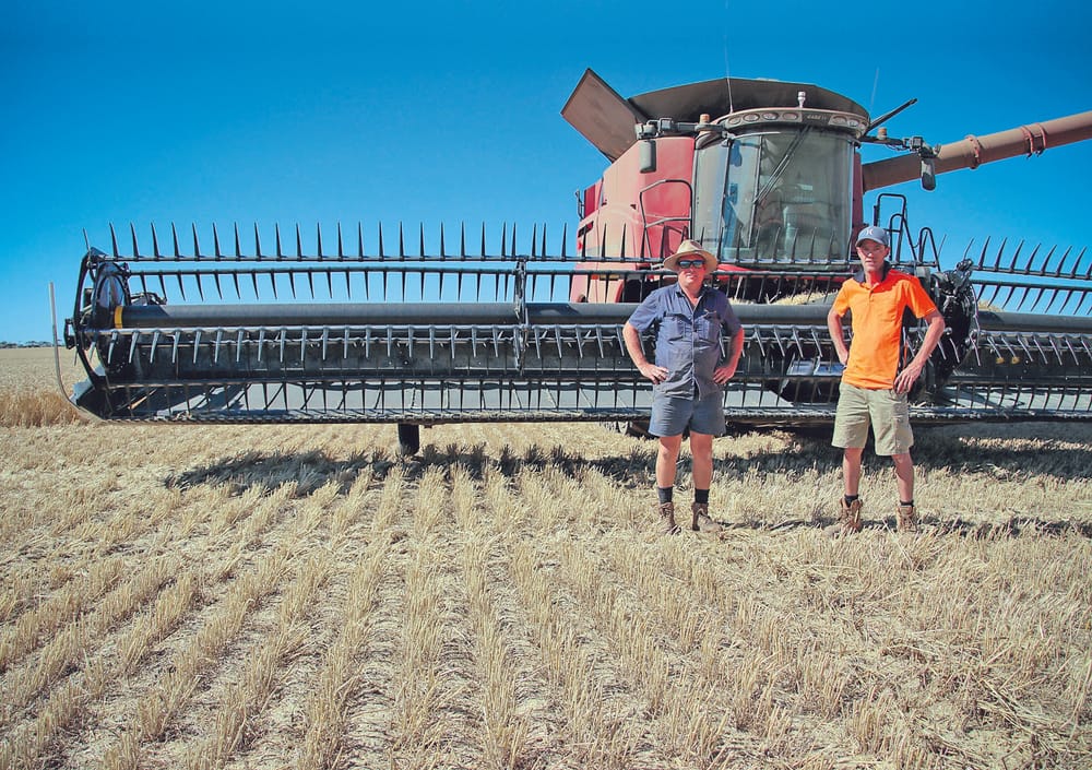 Season concludes for NYP farmers post image