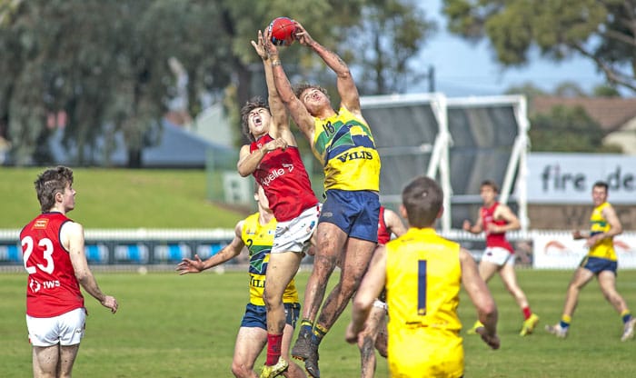 Neumann is WWT Eagles u18s best and fairest post image