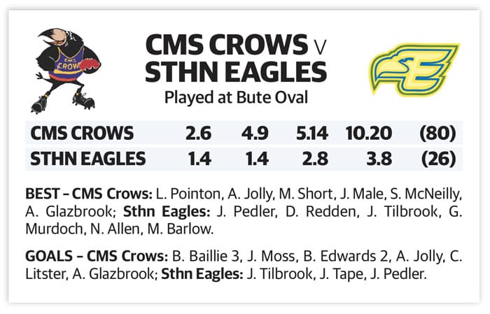 YPFL preliminary final – A grade post image