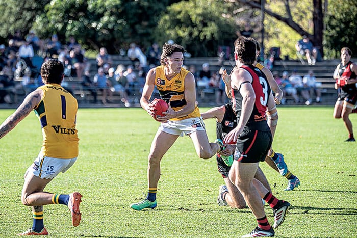 Hasting, Herbert in SANFL squad post image