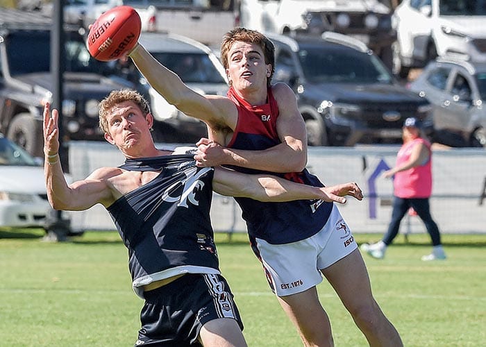 YPFL A grade... Demons’ dominant in second semi post image