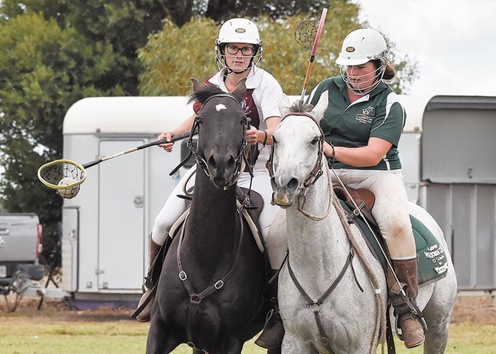 Minlaton hosts state polocrosse post image
