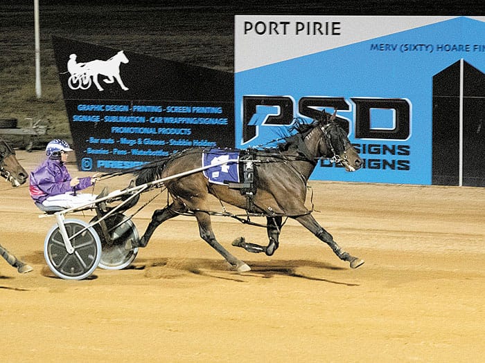 Harness racing at Port Pirie post image