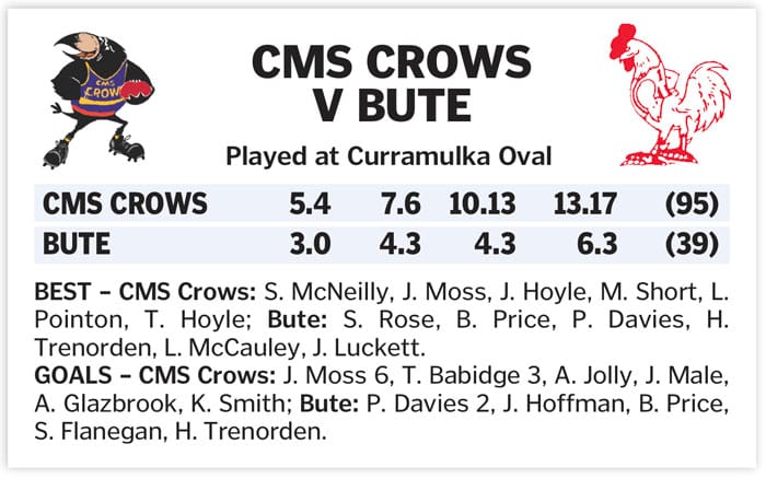 YPFL: Classy Crows put Bute away post image