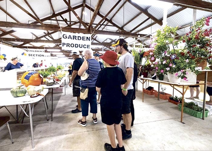 Maitland Show — there through it all post image