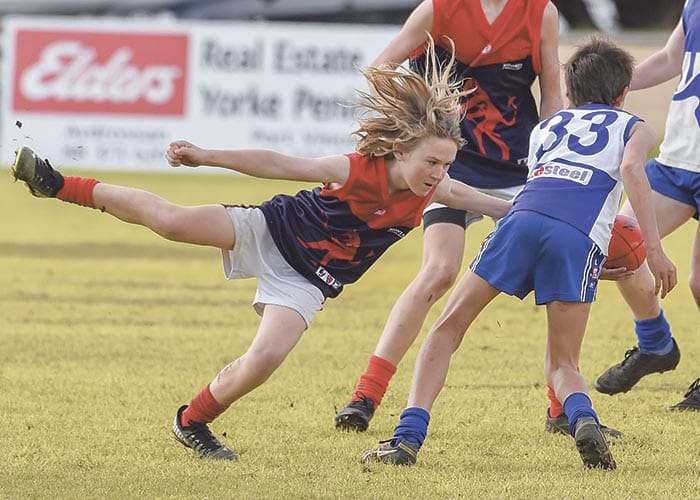 Moonta rises in the last quarter post image