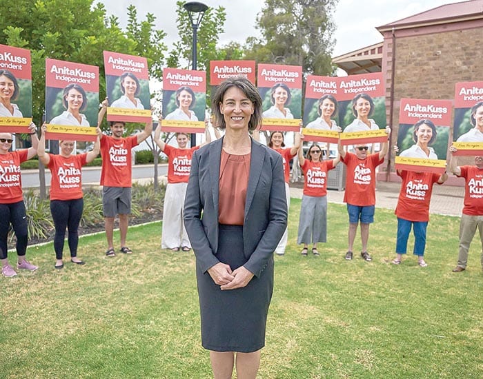 Independent for Grey candidate announced post image