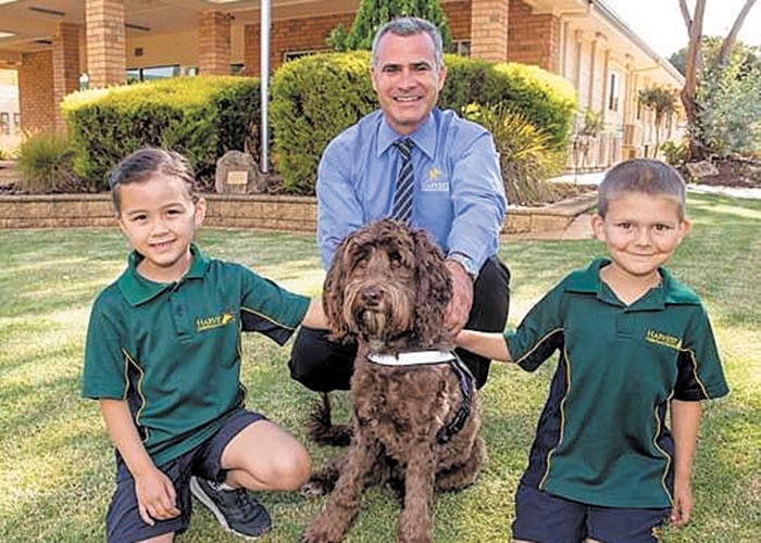 Harvest’s Harriet turns one post image