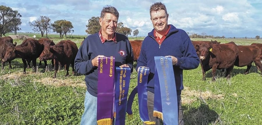 Outstanding success for SYP beef producers post image