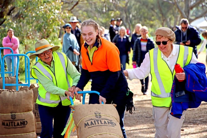 Maitland salutes 150th in style post image