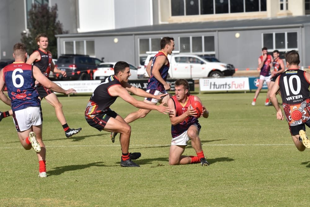 YPFL stars picked for country champs post image