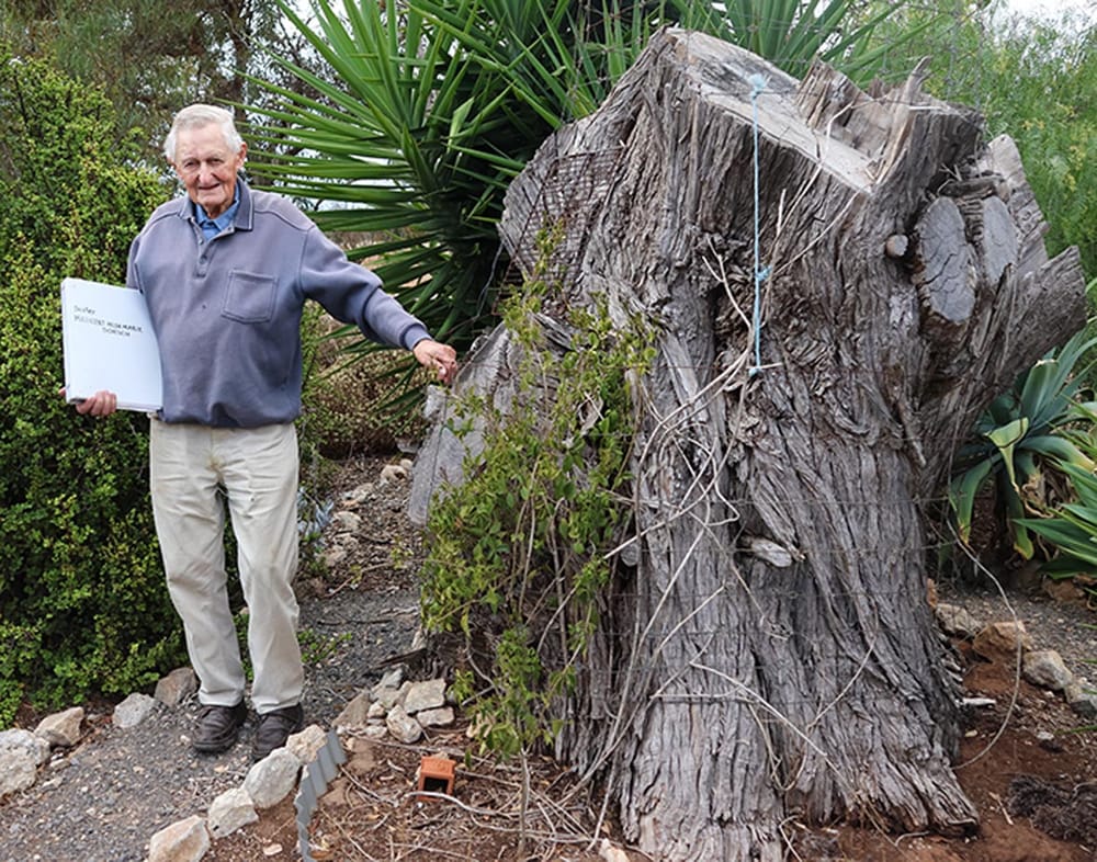 Millie’s memory missing from Minlaton post image