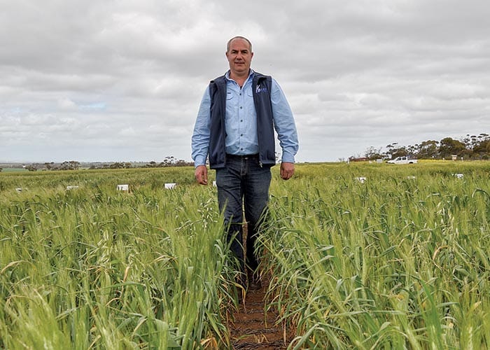 Getting The Crop In back for 2023 post image