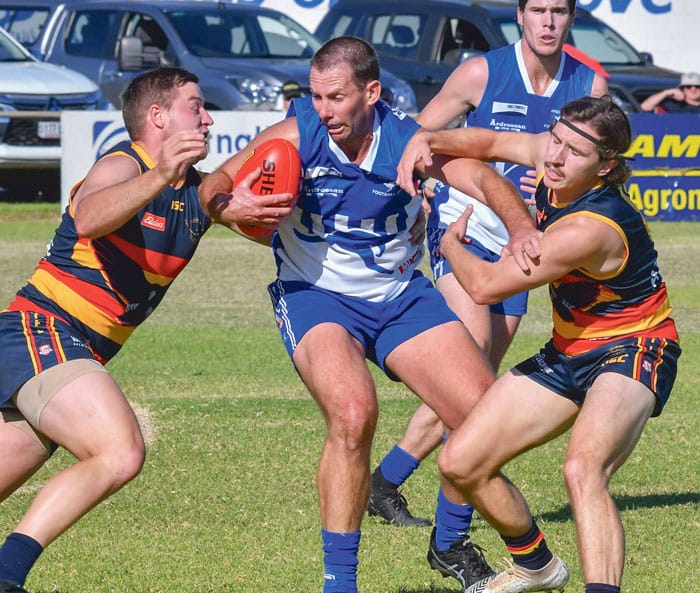 YPFL: Huge win for the Crows post image