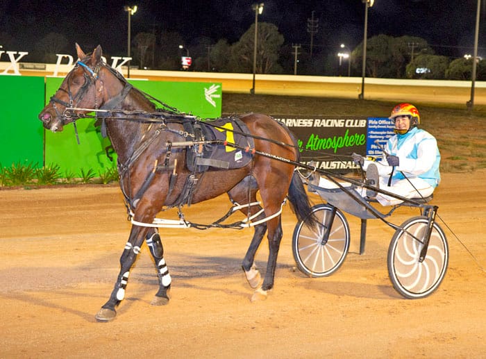 Rosiano wins Pirie Baker Bears Pace post image